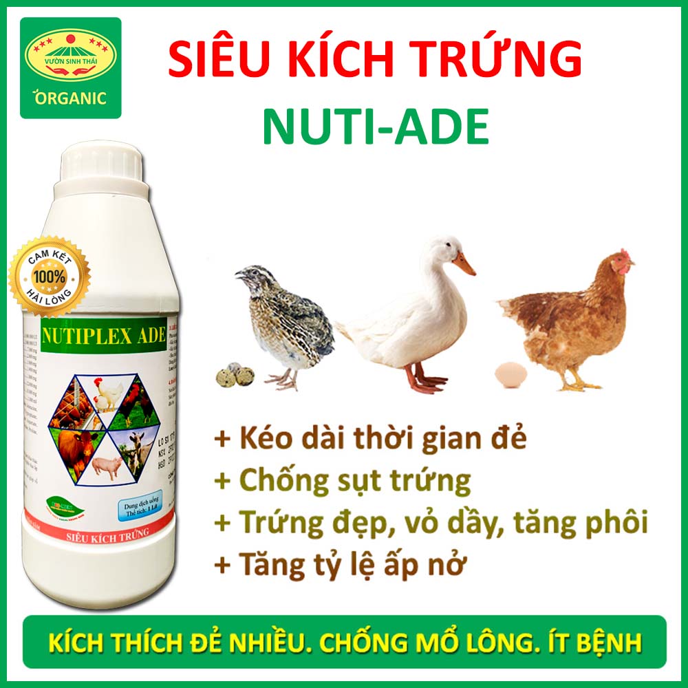 Siêu kích trứng NUTI-ADE dùng cho gà, vịt, chim, cút đẻ - Trứng đẹp, vỏ dày