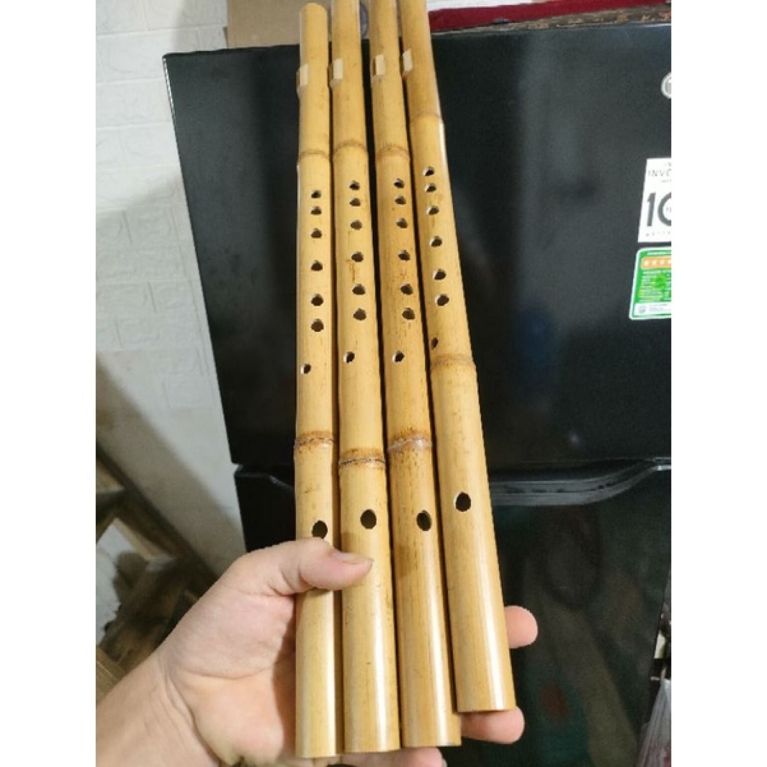 Sáo mèo trúc hun free ship