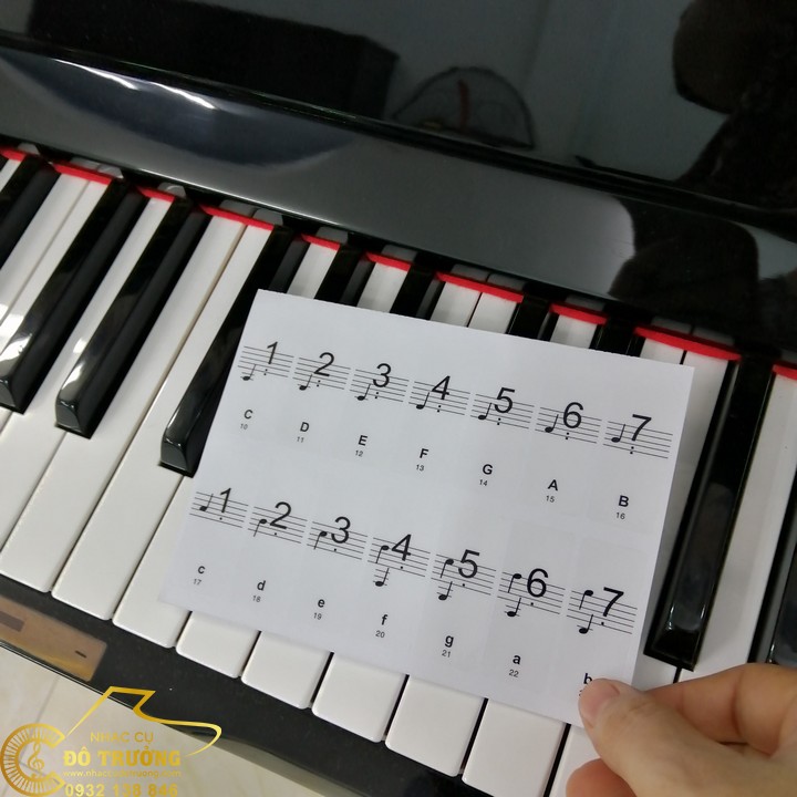 [HCM]MIẾNG DÁN PHÍM ĐÀN PIANO [Dán Đủ 88 Phím Trắng và Đen] GIÚP NHỚ VỊ TRÍ PHÍM ĐÀN