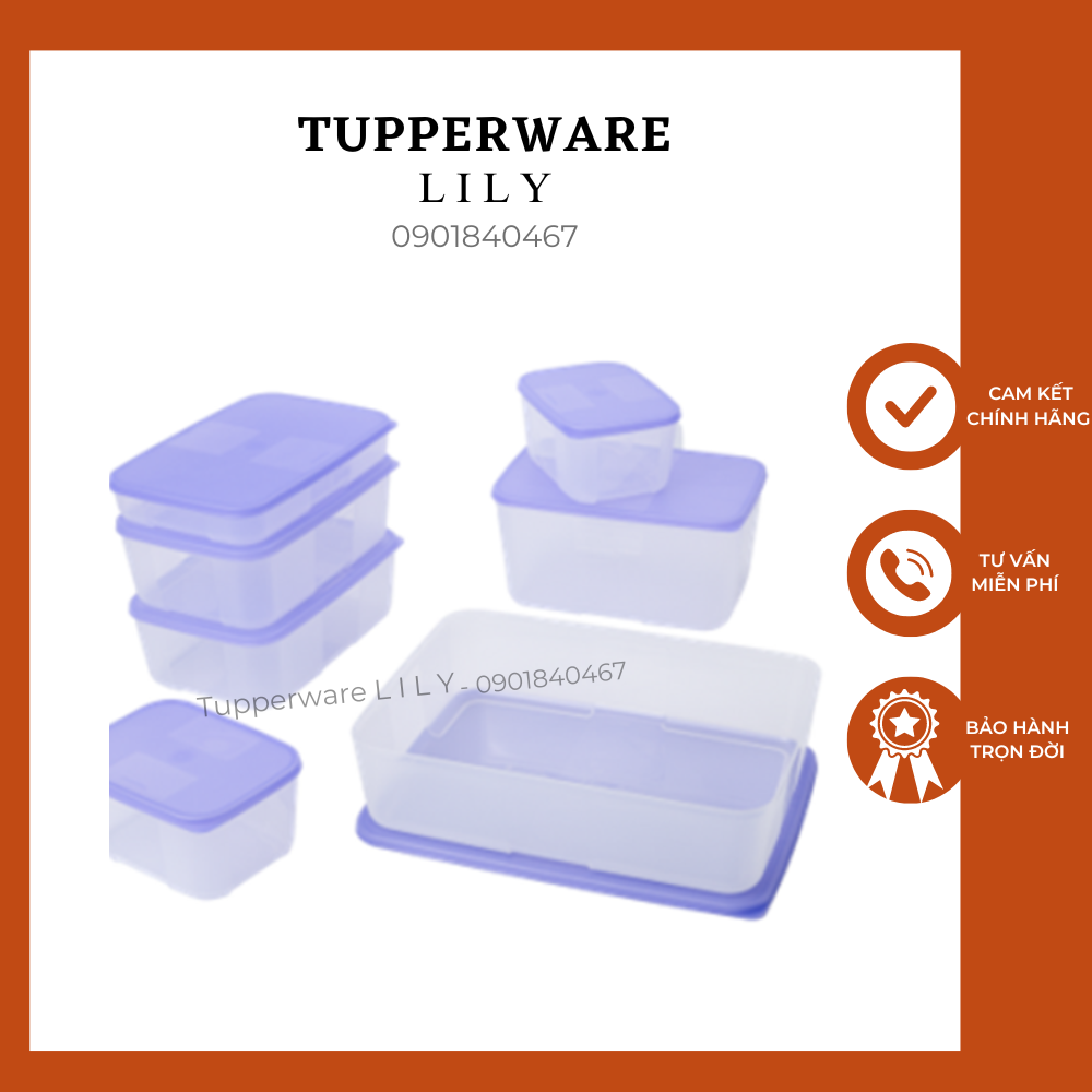 Bộ hộp trữ đông Freezermate Essential tím - Tupperware