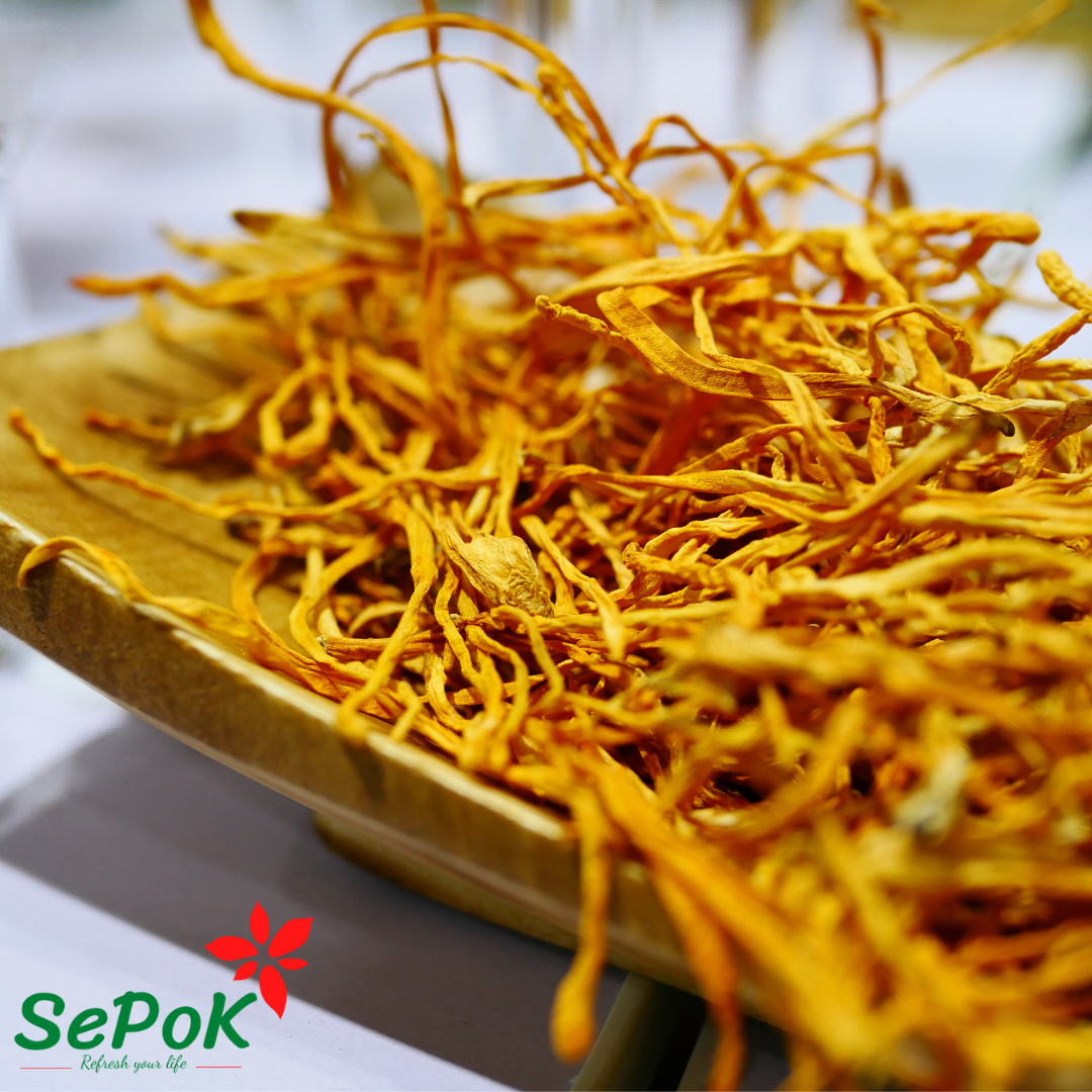 Đông trùng hạ thảo sấy khô 100g-SePok