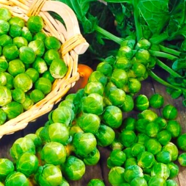 Hạt giống bắp cải tí hon f1 - bắp cải chùm