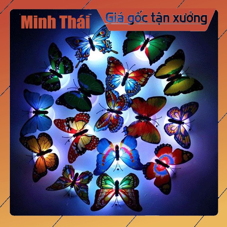 Đồ chơi hình con bướm phát sáng - đèn ngủ - trang trí tường