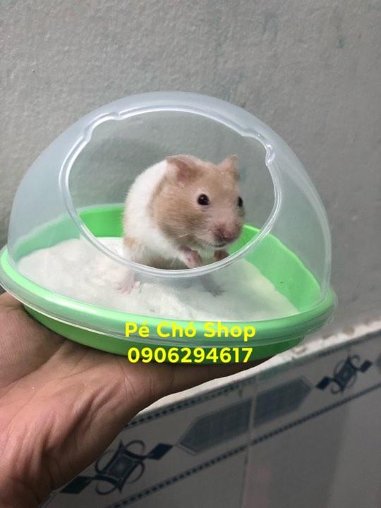 [HCM]Nhà Tắm Cát lớn cho hamster Bear ngũ sắc .