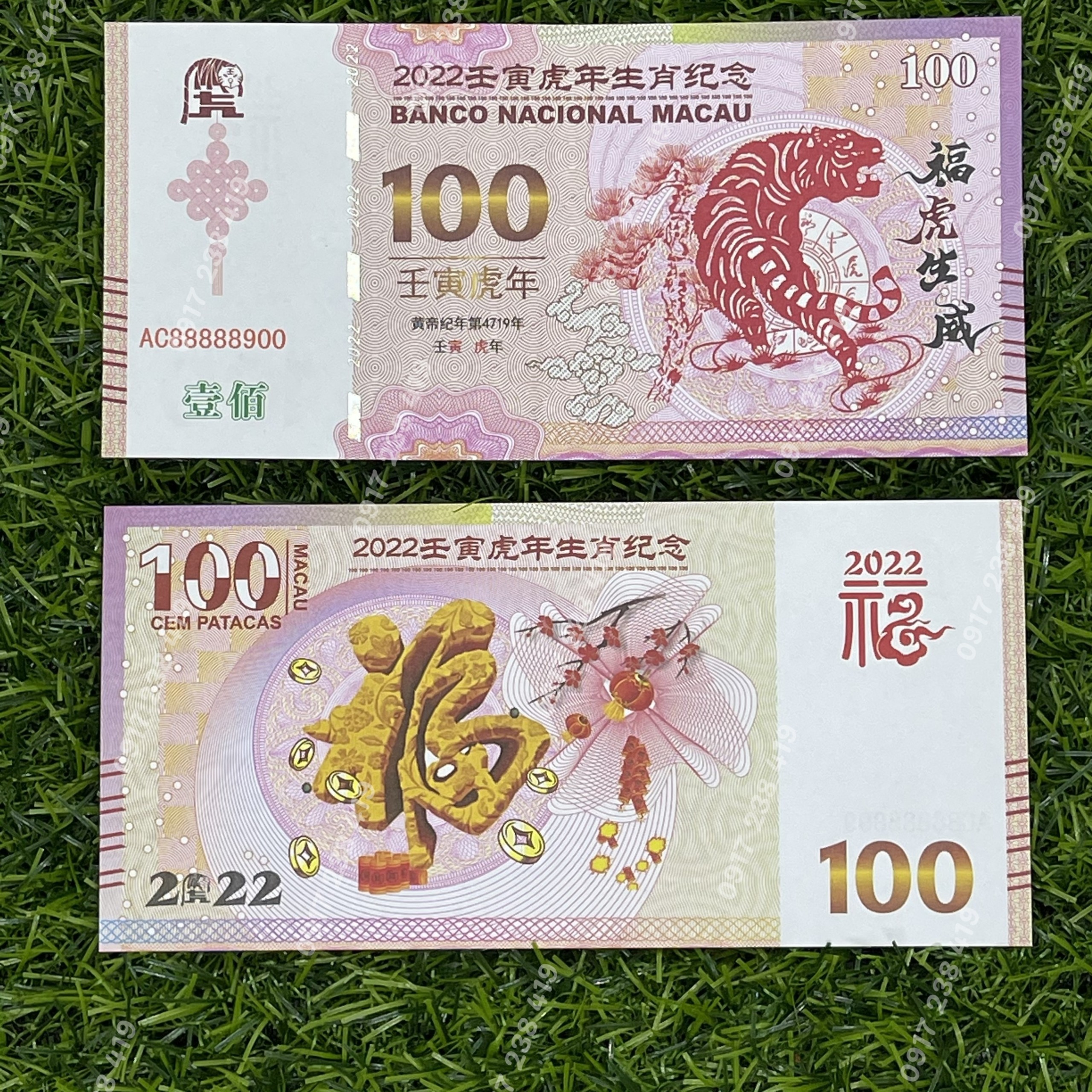 Tiền lưu niệm macao hình con hổ 100 patasca