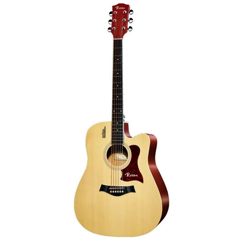 Guitar Acoustic Rosen R-135CN - EQ LC5