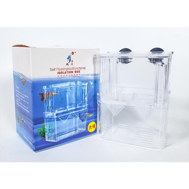Lồng đẻ đơn cho cá cảnh - lồng tách và dưỡng cá bệnh siêu rẻ - koy