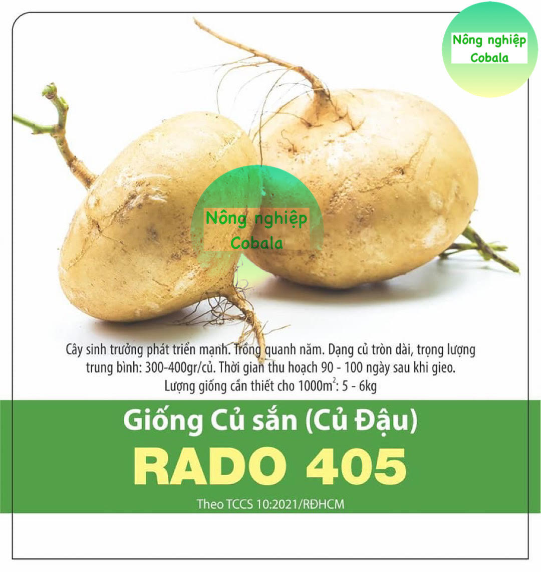 Hạt Giống Củ Sắn (Củ Đậu) 5gr