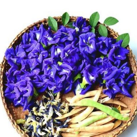 Trà hoa đậu biếc nhà trồng - 50g