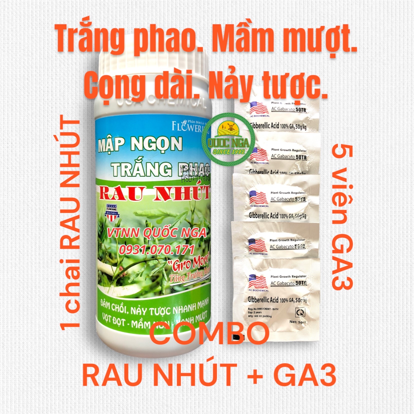 COMBO RAU NHÚT + GA3 - TRẮNG PHAO, MẦM MƯỢT, CỌNG DÀI, NẢY TƯỢC