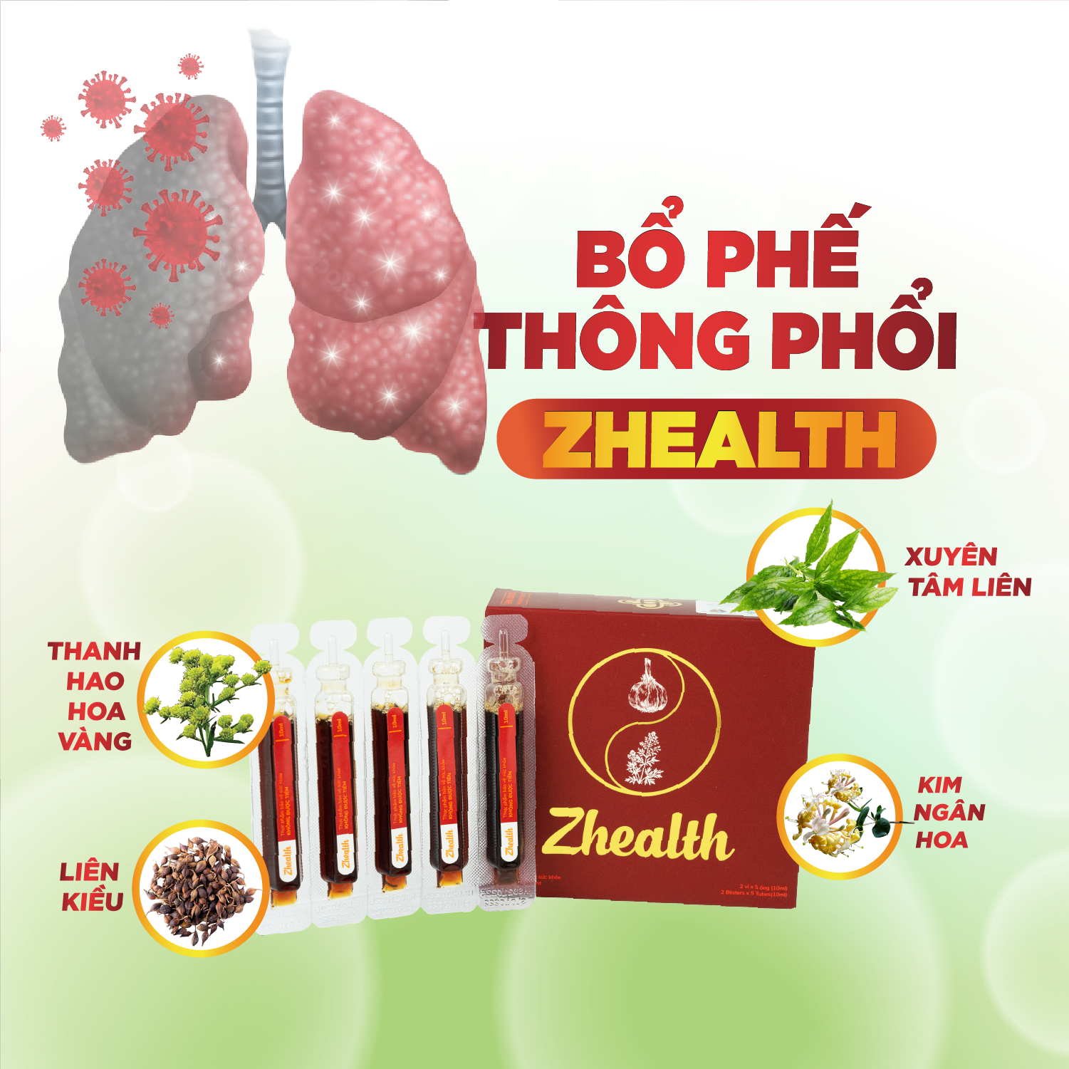 ZHE- Combo 6 Hộp Siro Zhealth- Giảm Đau Rát Họng, Cảm Cúm, Nhiễm Trùng Hô Hấp, Tăng Sức Đề Kháng(Hộp 10 ống)