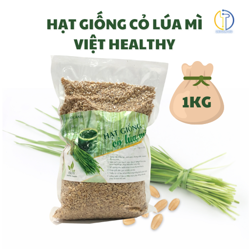 Hạt giống cỏ lúa mì Viet Healthy nhập khẩu Australia