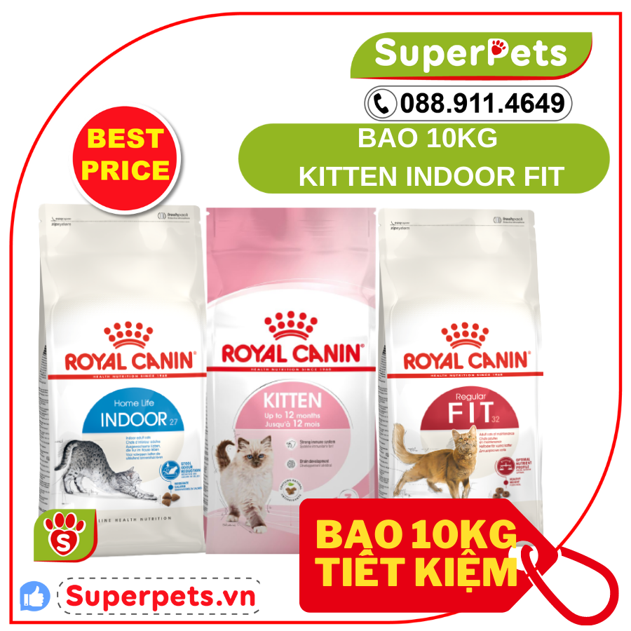 SEAL 10KG HẠT ROYAL CANIN NHẬP THÁI CHO MÈO KITTEN 10KG INDOOR 10KG FIT 10KG FIT32 10KG Hàn SUPERPETS VIỆT NAM