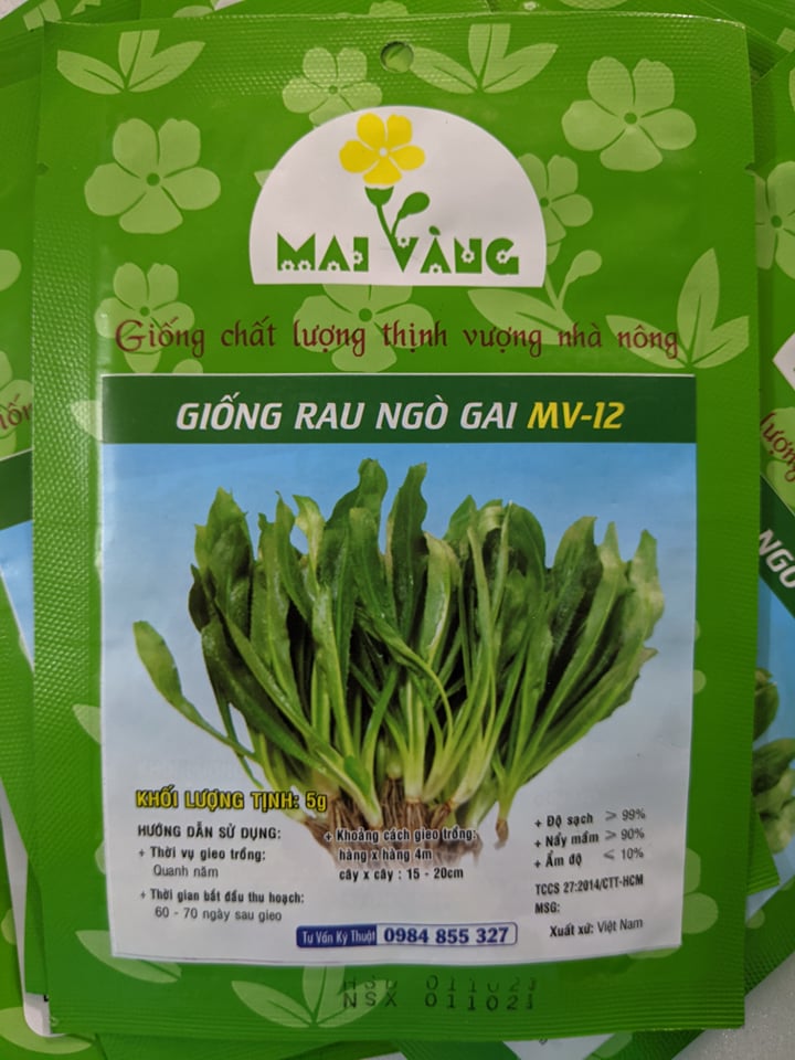 Hạt giống rau ngò gai 5g