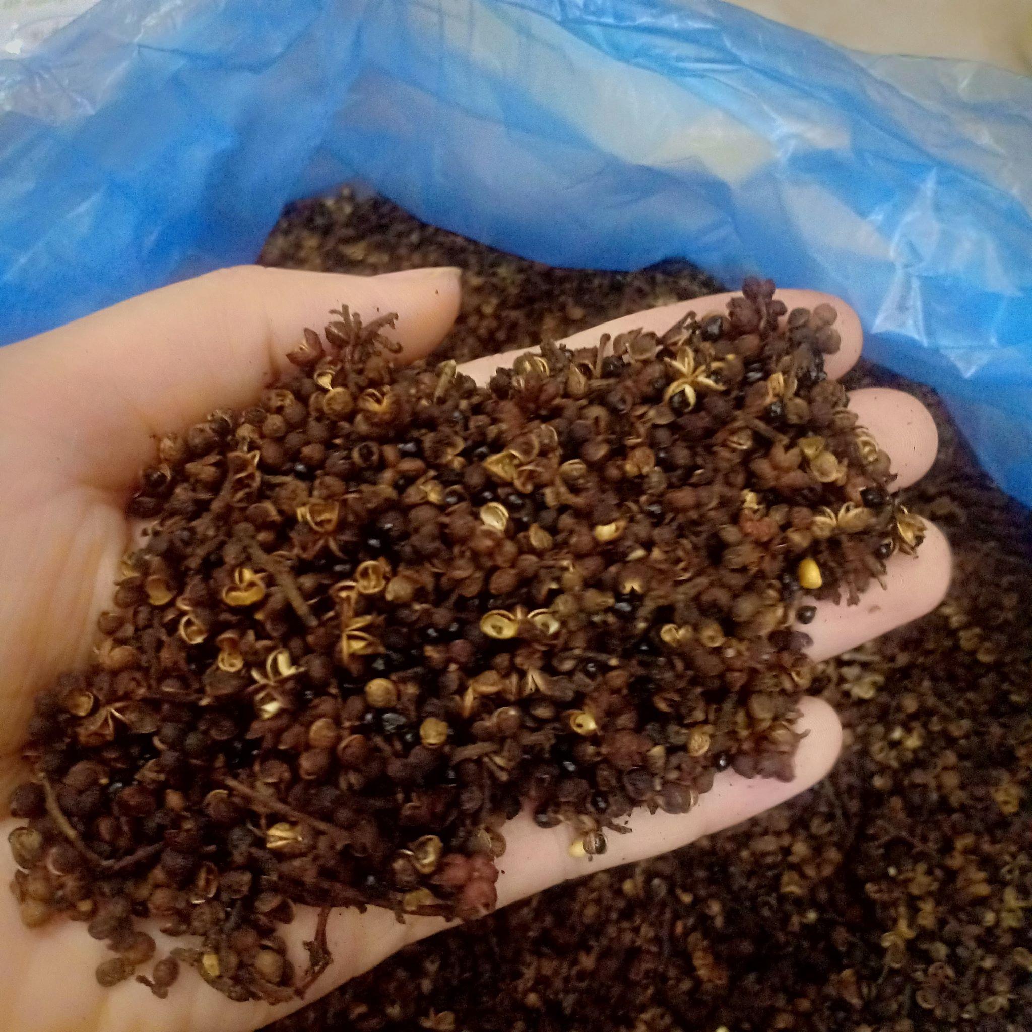 hạt mắc kén tây bắc 500g