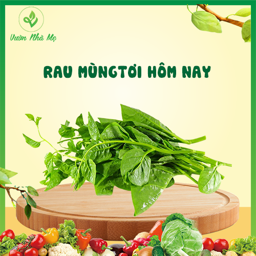 [Giao nội thành Hà Nội] Rau mồng tơi Vườn Nhà Mẹ - 1kg mùng tơi tươi mát, thanh nhiệt cơ thể - Rau củ quả tươi, sạch, chuẩn VietGap