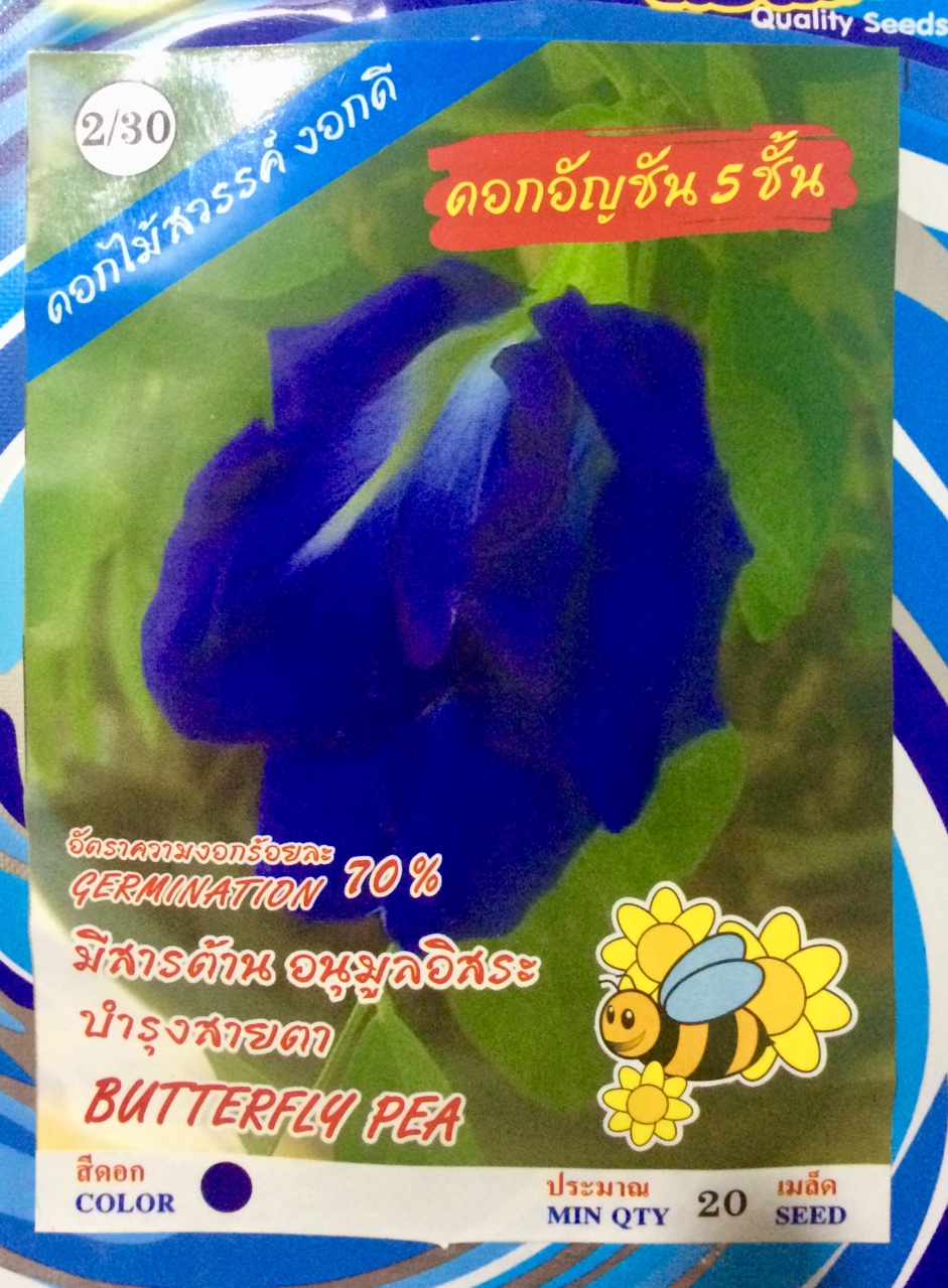 [HCM]hạt giống hoa đậu biếc Thái Lan cánh 5 lớp rất đẹp _gói 20 hạt .TẶNG KÈM PHÂN BÓN .