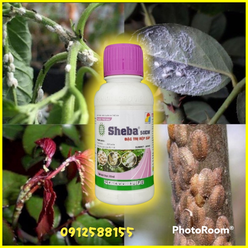 Chế phẩm trừ rệp sáp cho hoa hồng, cây cảnh Sheba 50EW