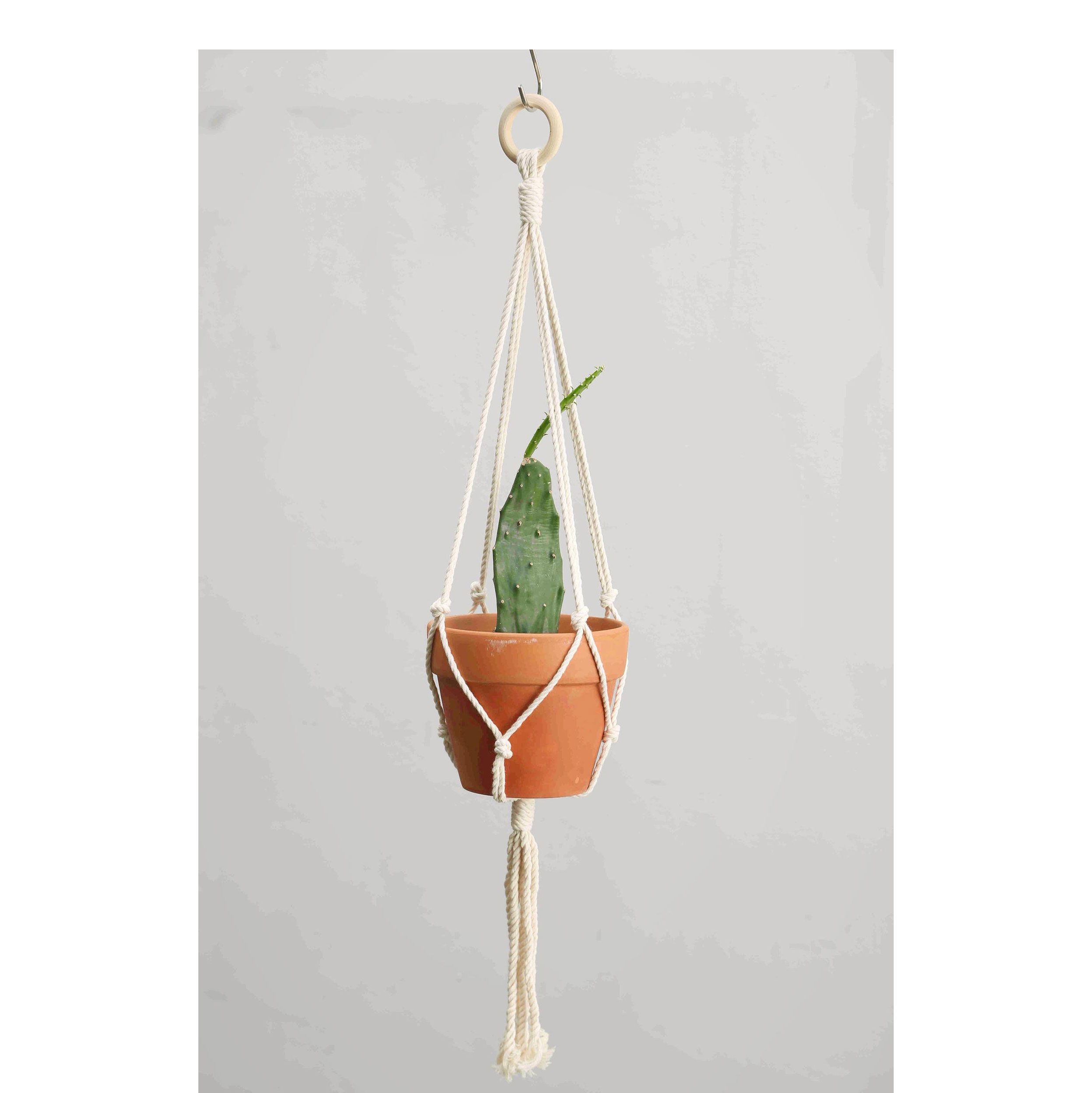 Dây treo chậu cây arata amph001