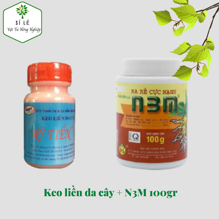 Combo keo liền da cây và n3m 100gr