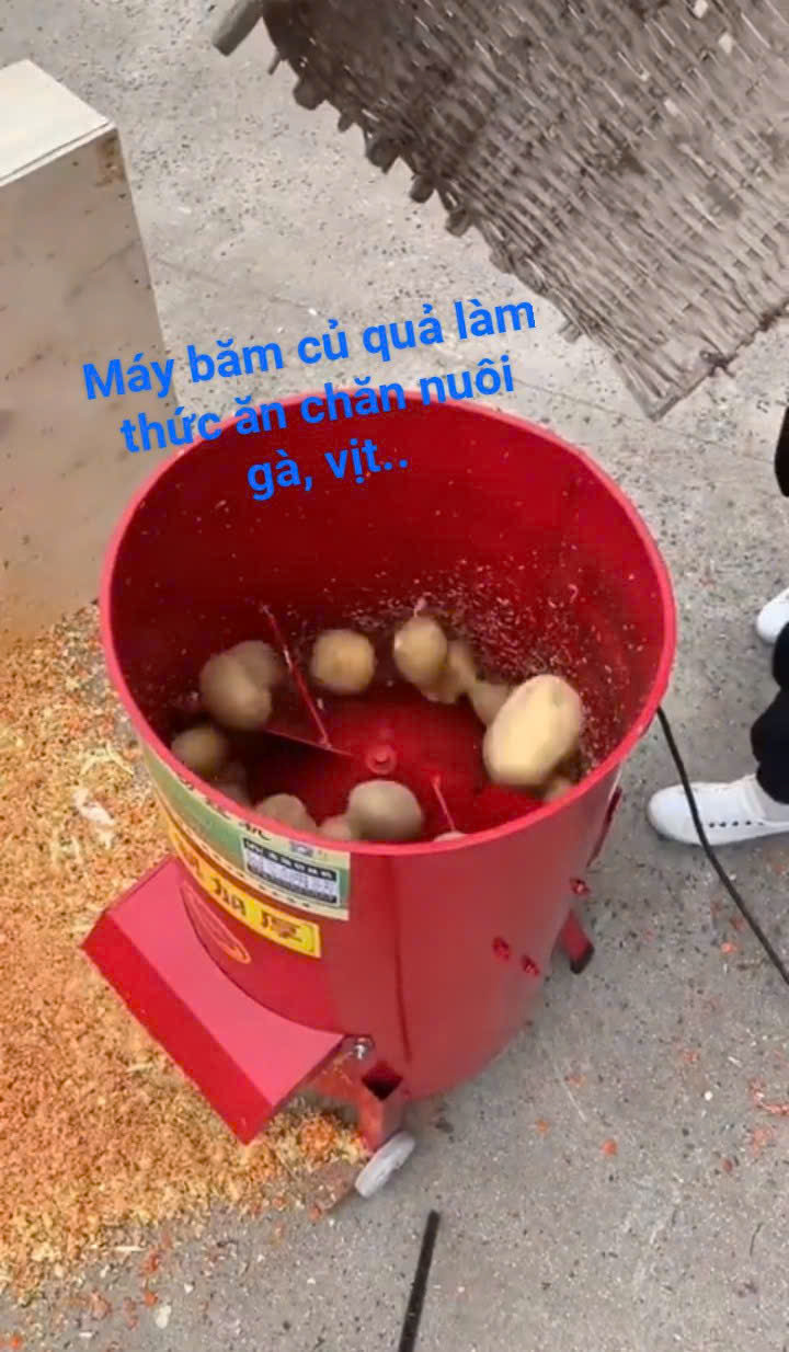 Xả Kho Máy Băm Rau Bèo,Củ Quả Làm Thức Ăn Chăn Nuôi Heo