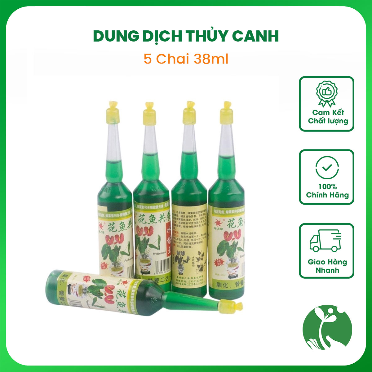 Dung dịch thuỷ canh, kích thích ra rễ nội địa Trung chai 38ml