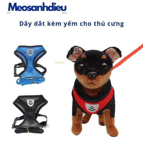 Dây dắt chó đi dạo vải lưới mềm mại kèm yếm- Mèo sành điệu