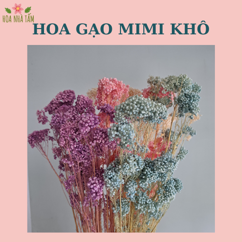 Hoa gạo Mimi khô - Cắm hoa, decor, handmade Hoa Nhà Tấm