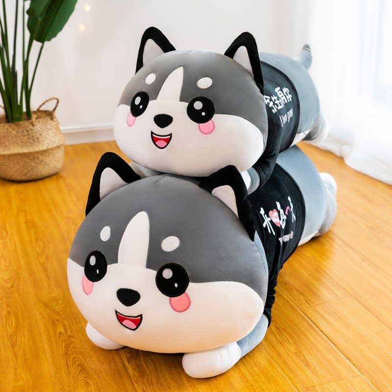 Chó husky bông siêu to khổng lồ - gấu bông husky