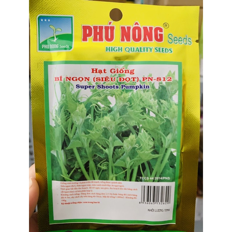 Hạt giống bí siêu ngọn, bí đỏ ăn ngọn