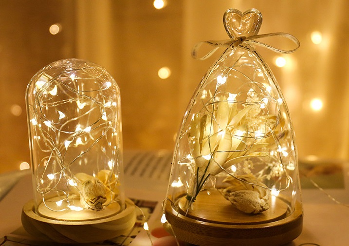 Led dây đom 3m đóm led trang trí đom đóm