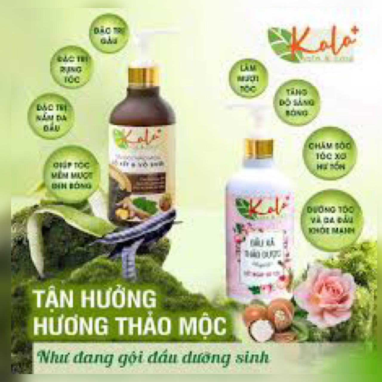 Dầu gội, xả thảo mộc KALA-chính hãng