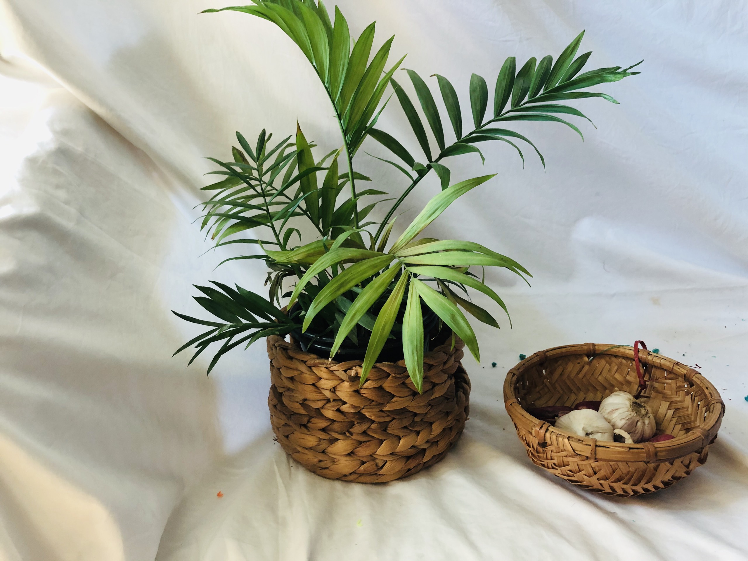 Rổ tre tròn-dụng cụ phòng bếp