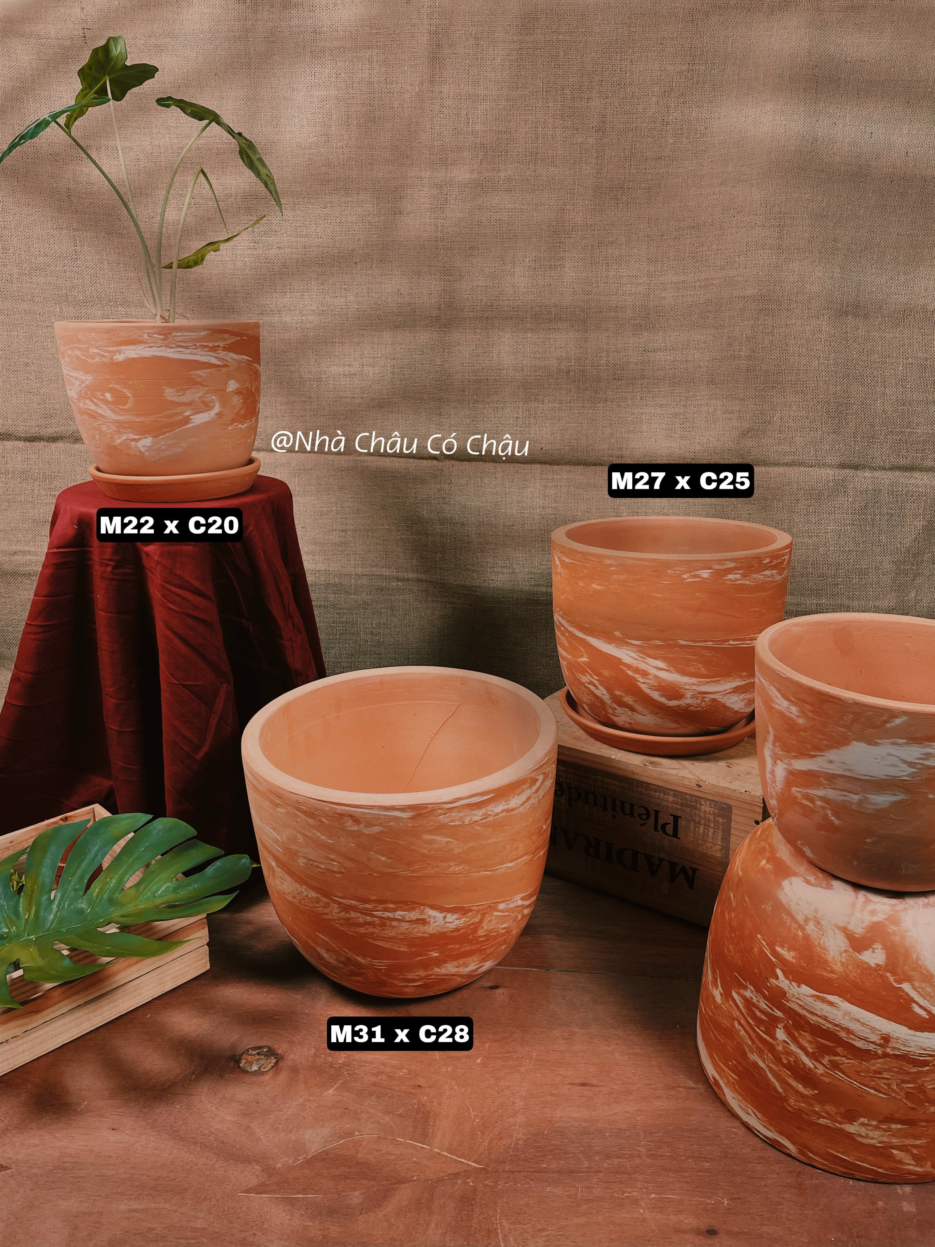 Nhà Châu Có chậu Decor - Chậu đất nung tròn, vân đá Marble