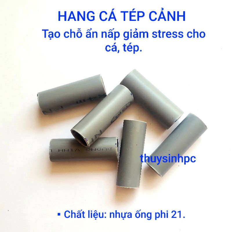 Hang cá, tép giúp giảm stress và trang trí bể thủy sinh cá cảnh