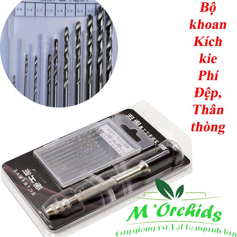 [Mạnh Orchid] Bộ khoan kích kie phi điệp, trầm, thân thòng phong lan 10 mũi, Tạo viết khoan trên thân dùng cho kích ki kie, kích hoa các loại phong lan thân thòng, phi điệp,trầm.