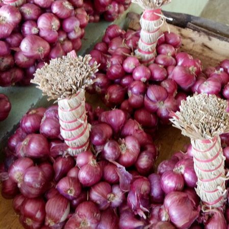 [FreeShip] Hành Tím Khô -Loại 1 Củ To Chắc Dễ Bóc Hàng Chất Lượng , thơm ngon , chắc nịch