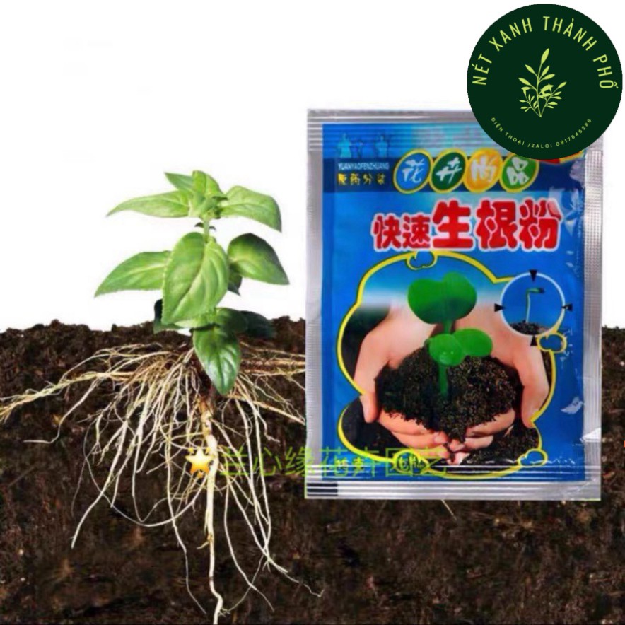 Kích rễ & kích nảy mầm hạt giống nhanh nảy mầm và ra rễ