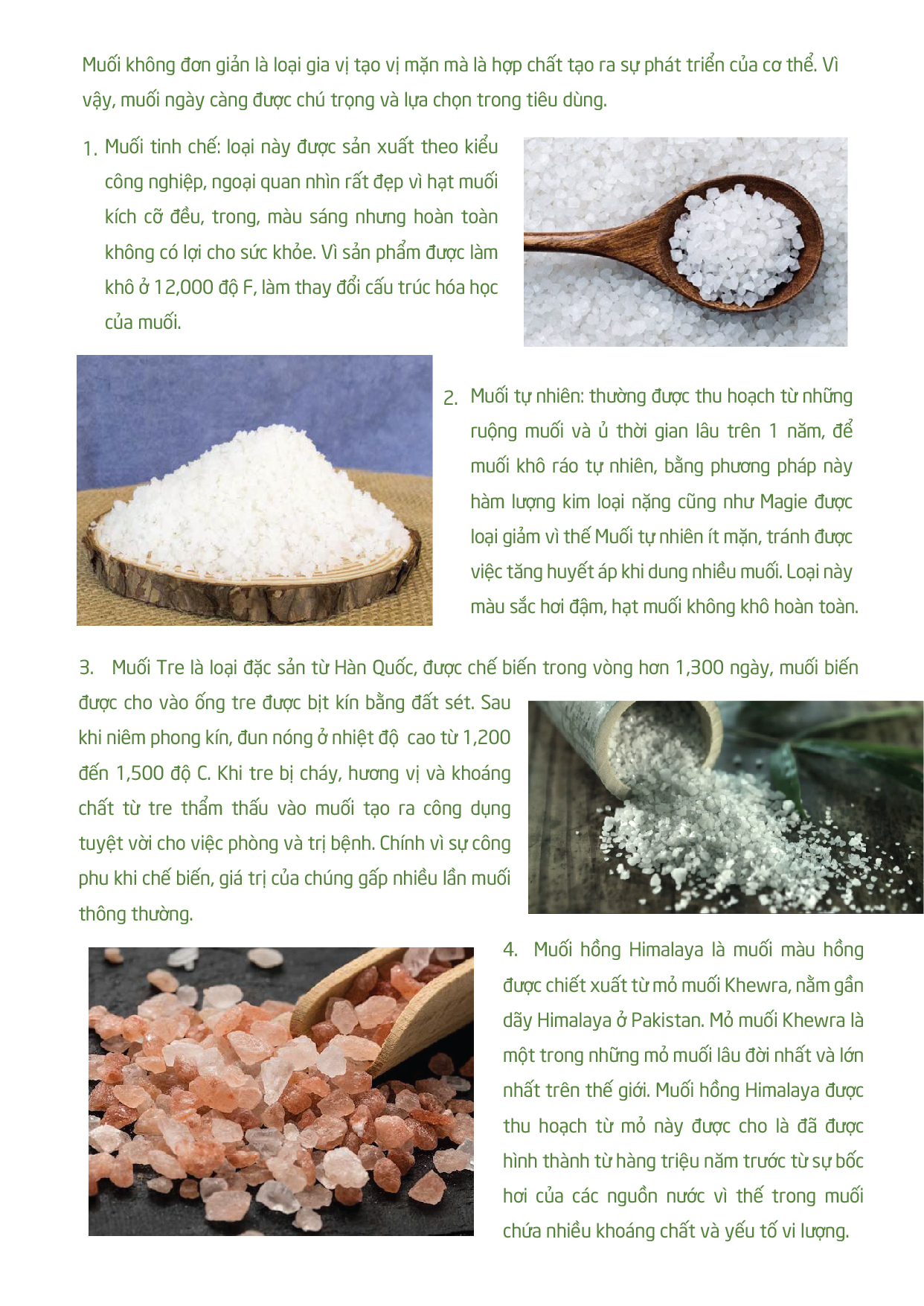 COMBO 2 MUỐI Ủ RỪNG SÁC CẦN GIỜ (1KG/TÚI)
