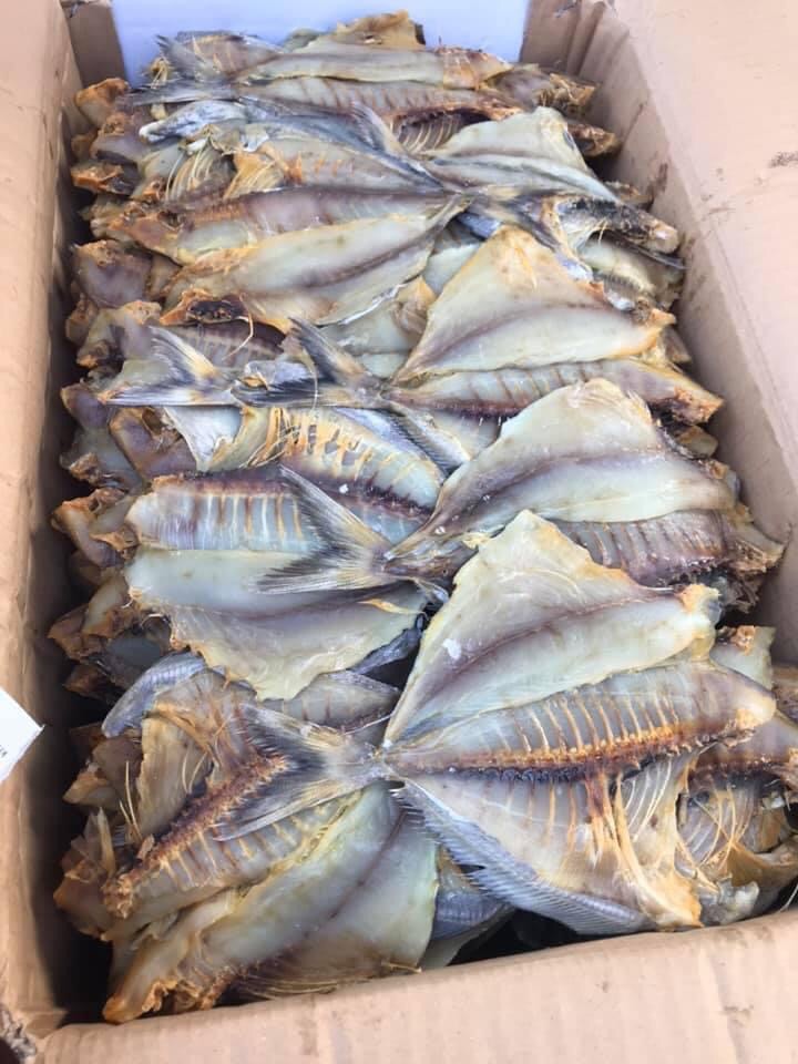 1kg cá chim khô, to ngon, hàng mới