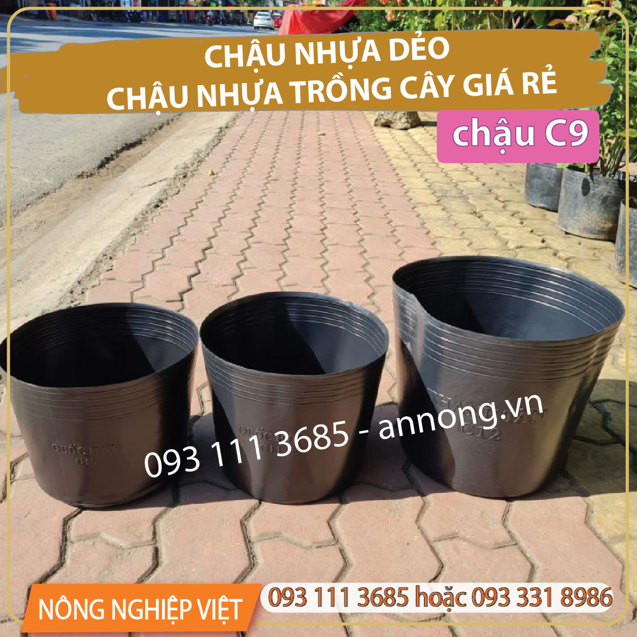 Combo 50 cái chậu nhựa c9 đen - chậu nhựa trồng vạn thọ 1 gốc, 2 gốc - chậu mũ đen, chậu nhựa c8, chậu nhựa c10