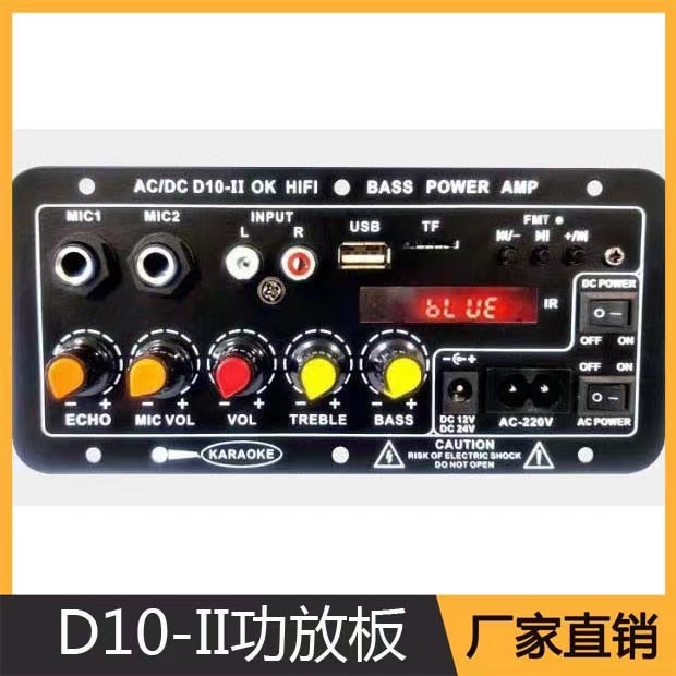 12V 110V-220V kỹ thuật số Bluetooth bảng khuếch đại loa siêu trầm micro kép karaoke amp loa rạp hát tại nhà tự làm 30W