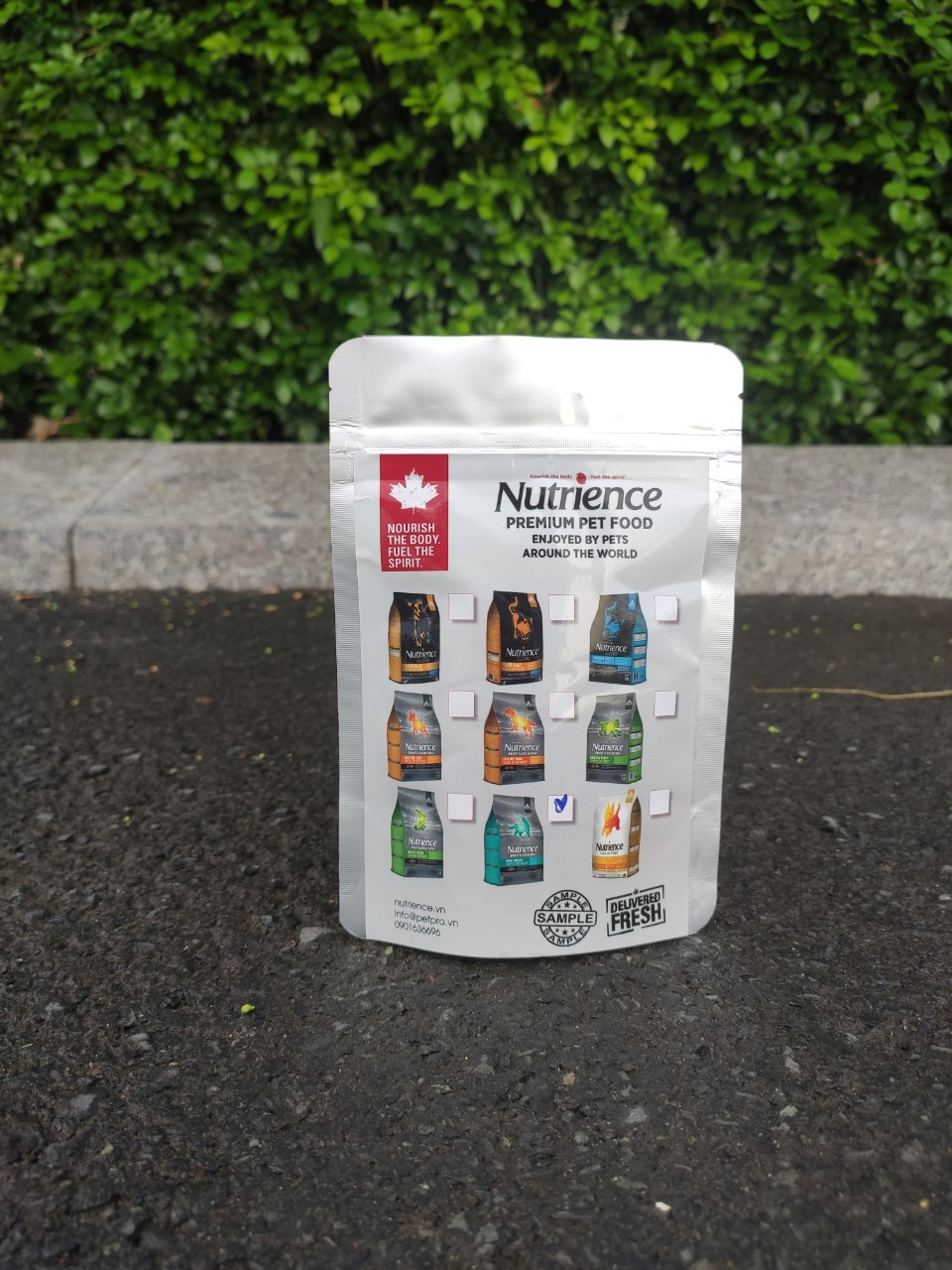Thức ăn cho mèo - mẫu thử hạt cho mèo nutrience 70g