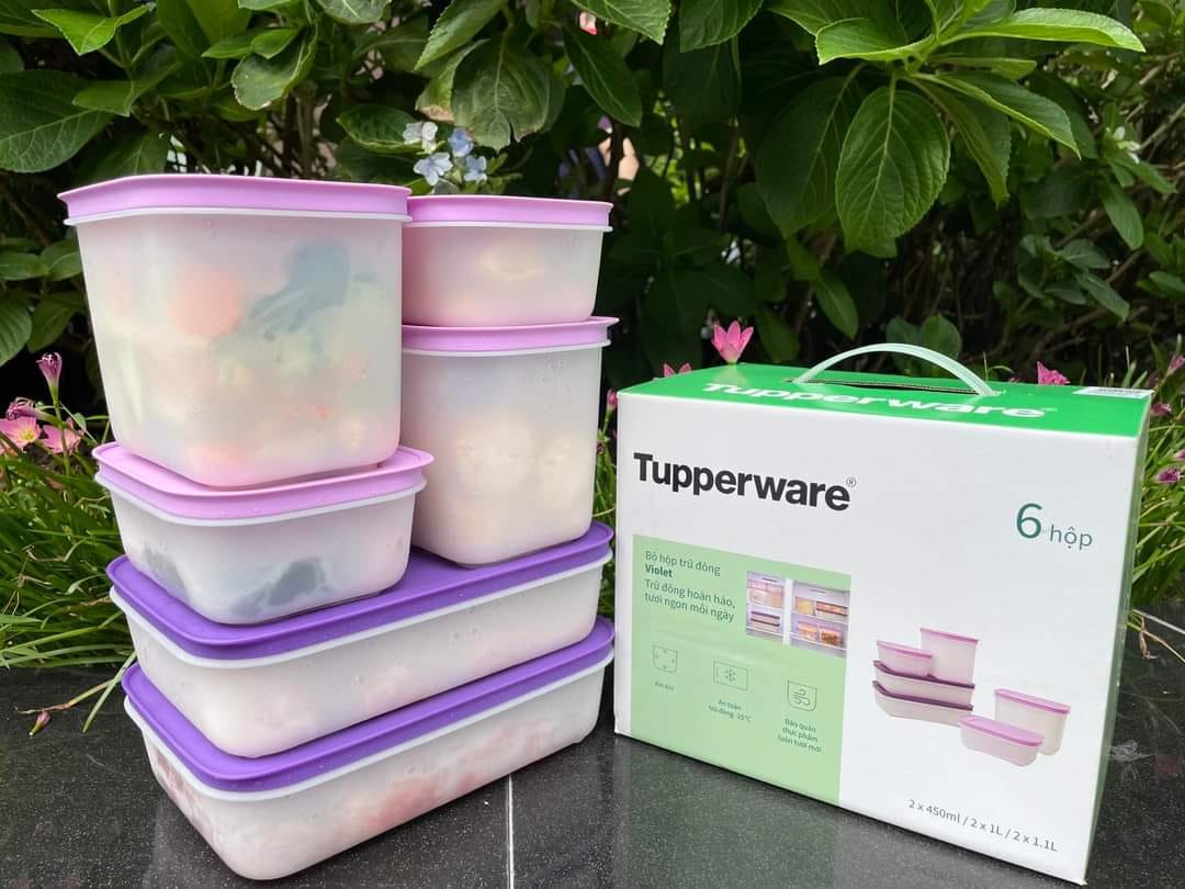 Bộ hộp trữ đông Freezermate gen II Tupperware - set 6 hộp