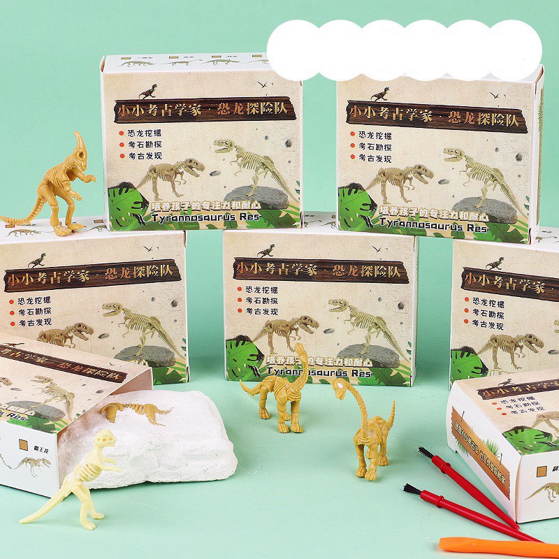 COMBO 5 BỘ ĐỒ CHƠI KHẢO HỌC HOÁ THẠCH KHỦNG LONG SIZE NHỎ DÀNH CHO BÉ SÁNG TẠO THÚ VỊ