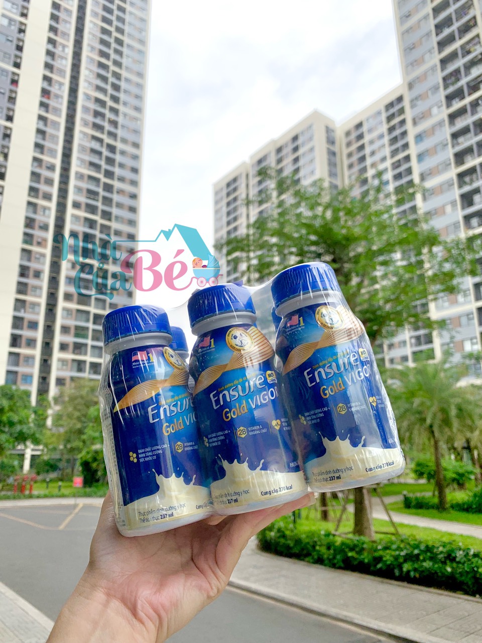 Lốc 6 chai sữa ensure gold vigor hương vani 237ml cho người lớn tuổi