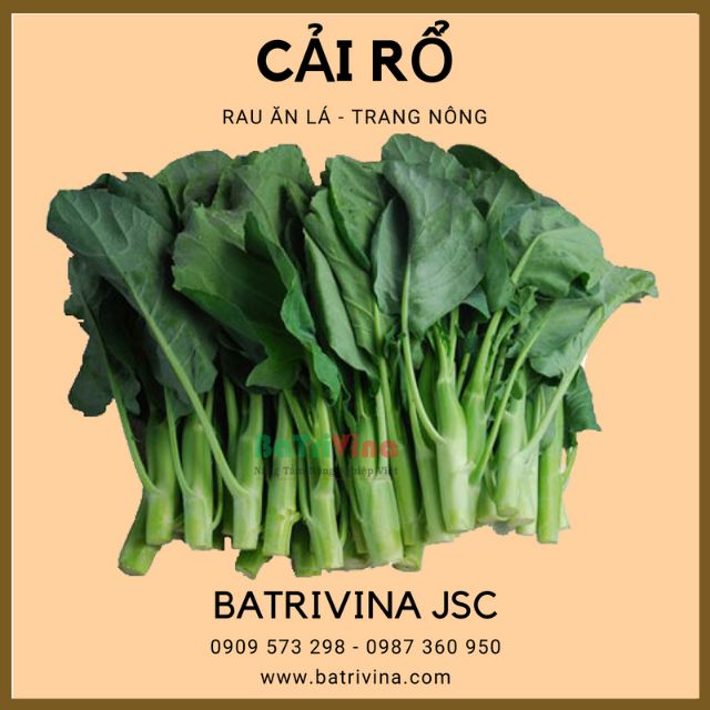 Gói 20Gr Hạt Giống Cải Rổ - Cải LàN Trang Nông