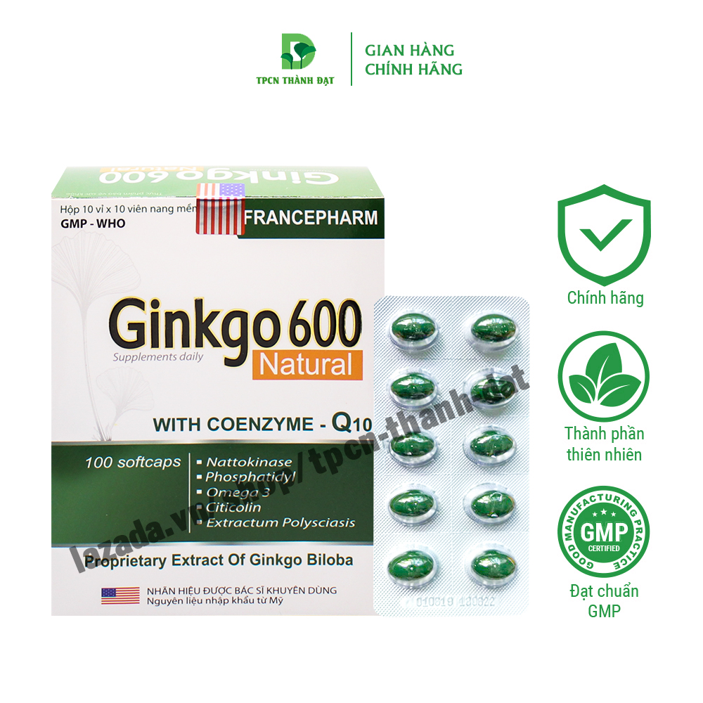 Bổ não GINKGO 600 Citicolin hỗ trợ giúp tăng cường trí nhớ, giảm đau đầu