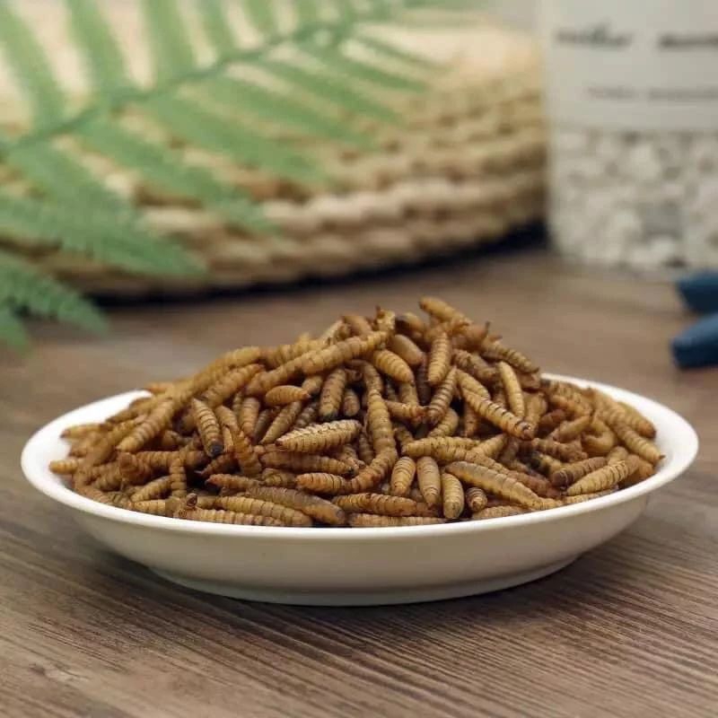 Thức ăn sâu canxi cho ốc 50gr