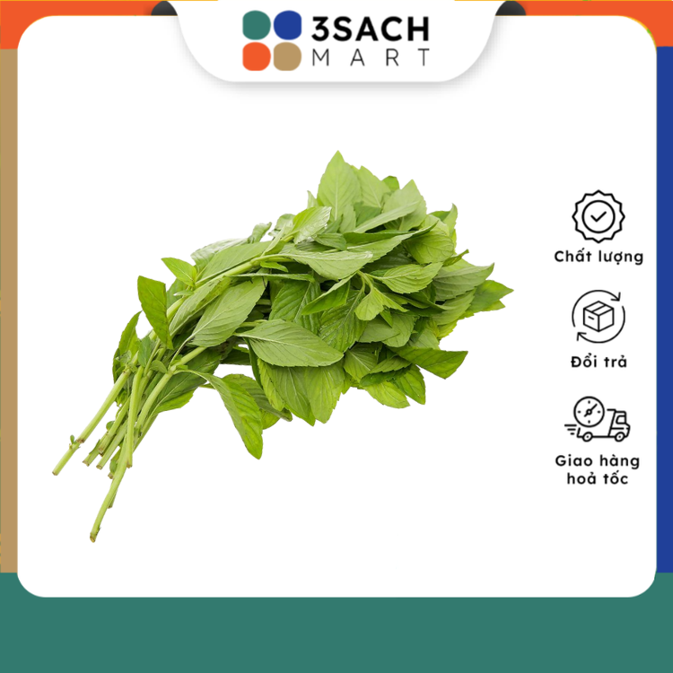 Húng cây (Húng thơm, Húng bạc hà, Húng đứng) - gói 100gr